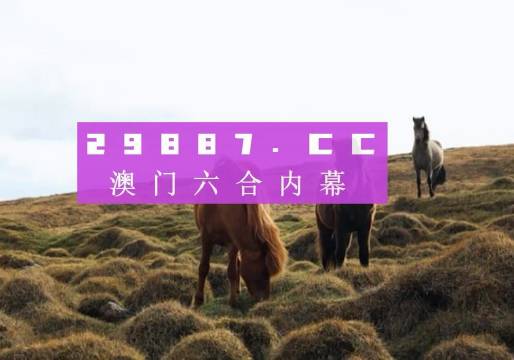 精準馬料資料免費大全,專家意見法案_YBS49.336拍照版