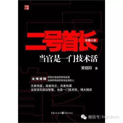 最新官場小說2016，巷弄深處的官場故事與獨(dú)特小店的權(quán)力風(fēng)云