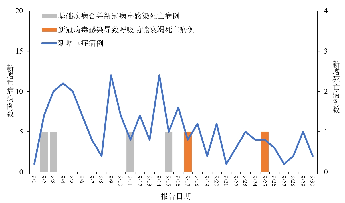 2024年11月份新病毒頭暈,策略規(guī)劃_WCP49.330明亮版