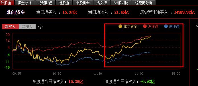 小巷深處的驚喜，600063特色小店最新動態(tài)與獨家消息揭秘