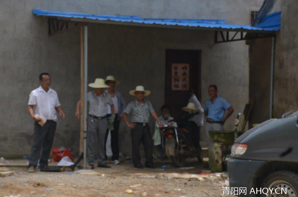 尤東村最新動(dòng)態(tài)，自然探索之旅，尋找內(nèi)心平和的旅程