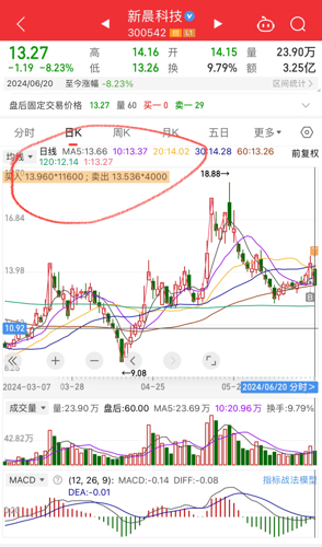 新晨科技股票最新動(dòng)態(tài)，深度分析與觀點(diǎn)闡述