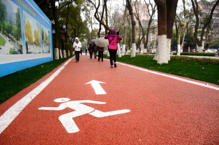 長春八一公園最新消息,長春八一公園的溫馨日常