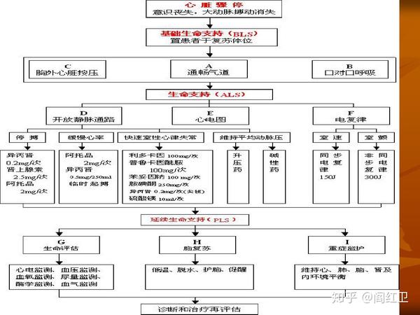 成人心肺復(fù)蘇最新指南，掌握生命救援技能，自信閃耀救援之路