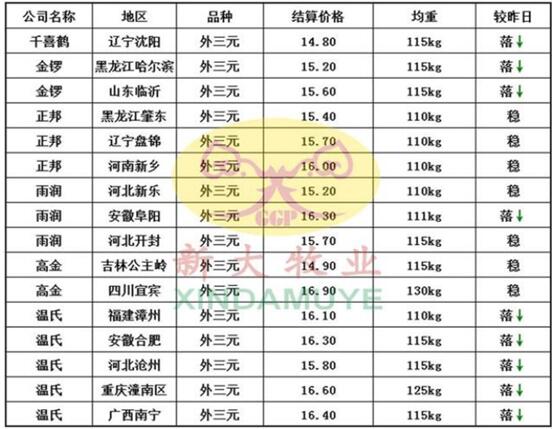 河南省最新生豬價(jià)格揭秘，巷弄深處的豬肉市場(chǎng)動(dòng)態(tài)