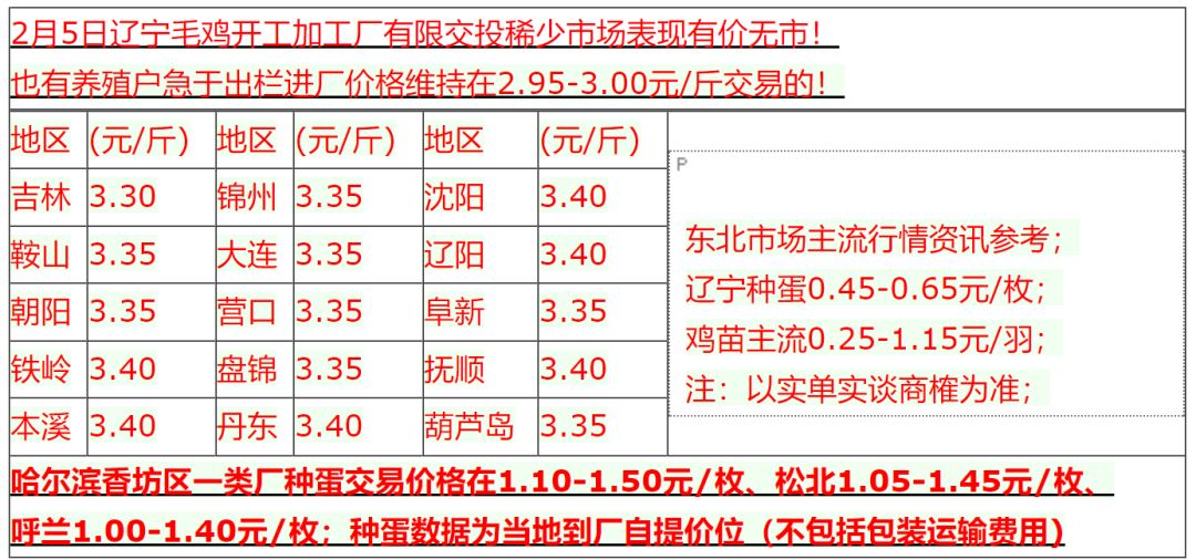 最新肉雞收購動態(tài),最新肉雞收購動態(tài)，巷弄深處的特色小店探秘