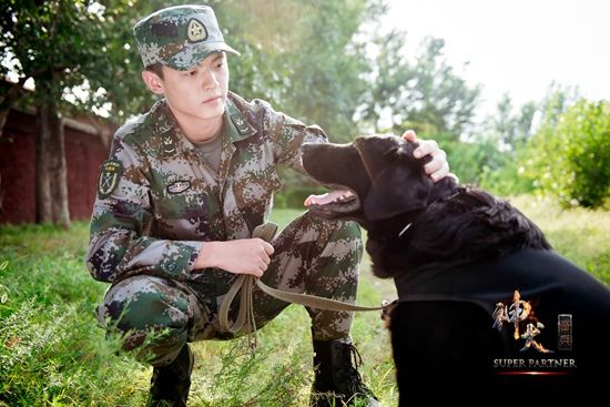 神犬奇兵演員陣容全揭秘，小巷中的星光寶藏探尋者