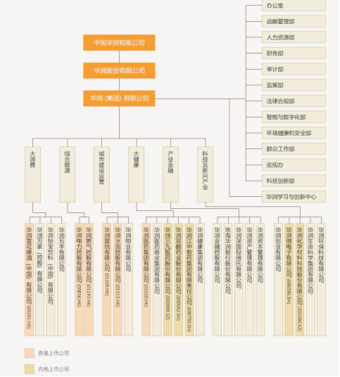 金鐘子酒股票今日行情，股市中的獨(dú)特魅力與溫情故事